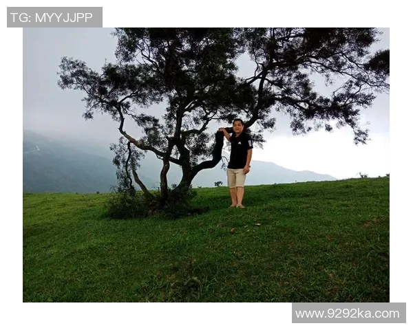 深度对话刘强如何在王者荣耀中找到人生的意义与乐趣 深度对话刘强如何在王者荣耀中找到人生的意义与乐趣